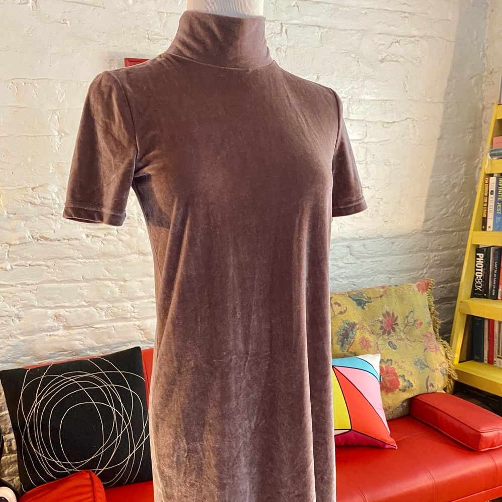 Pink velvet Madewell dress